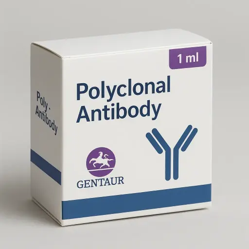 14-3-3-pan (Acetyl Lys51/49) rabbit pAb - ES8431