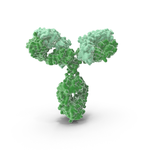 [WG-GB111175-LG] Anti-HIF3 alpha/IPAS Rabbit Polyclonal Antibody - 100 μL
