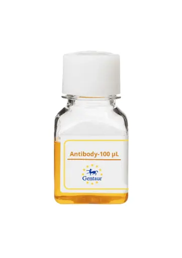 [PA005975GA01HU-100 µL] CRISP2 Antibody