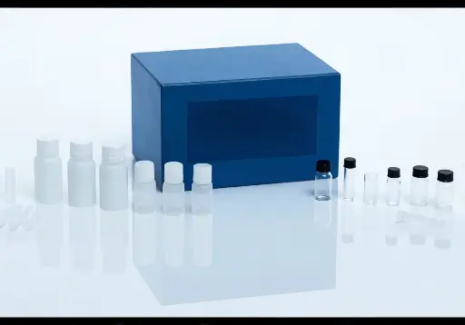 [ES17026] DACT2 rabbit pAb - 100 μL