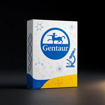 [FM-FAPD4051] Gentaur Maxi Endotoxin Free Plasmid Extraction Kit, Ion Exchange - 10 prep