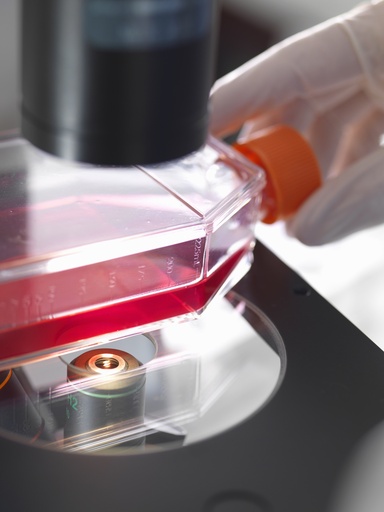 [CELL-SK-525] Mouse Internal Anal Sphincter Smooth Muscle Cells