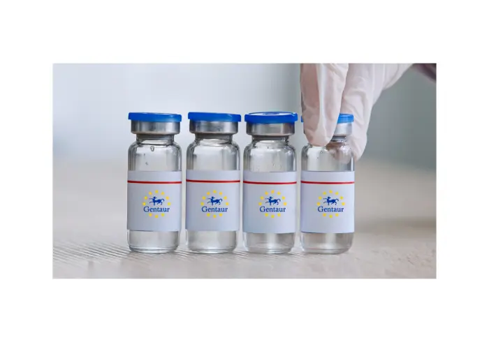 [GEN - VZKV003-10ug] Zika NS1, HEK