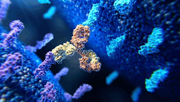 [CSB-PA003082] MAPK8IP3 Antibody   